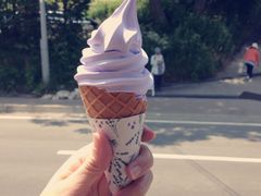 -富田农场