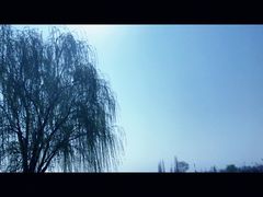 -西苑公园