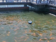 -长春市南湖公园