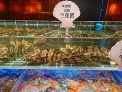 -成都银泰中心in99