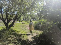 -长春市南湖公园