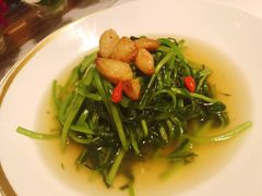 -金轩中餐厅 Jin Xuan(浦东丽思卡尔顿酒店)