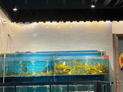 -大鹅岛灶台鱼·铁锅炖(水库路店)