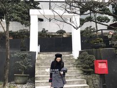 -Gucci(重庆IFS店)