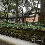 西溪探幽 十里芳菲