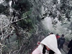 -江西阳明山国家森林公园