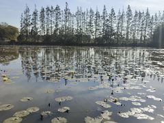 -上海长兴岛郊野公园