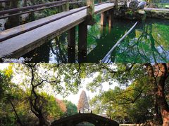 -绮园景区