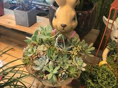 -双季花艺园艺市场(浦东店)