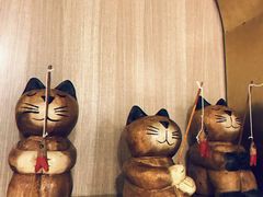 -飞行喵MR PILOT|猫舍·猫咖(静安大融城店)