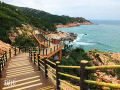 -广东惠东海龟国家级自然保护区