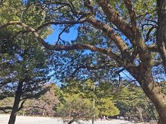 -京都御所
