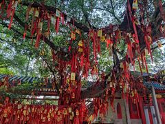 -国恩寺