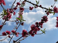 -水濂山森林公园