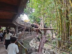 -长鹿旅游休博园