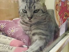 -光明广场