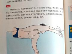 -陕西省游泳跳水馆