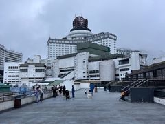 -云顶高原