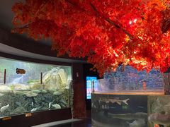 -成都浩海立方海洋公园