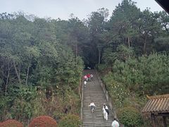 -铁山坪森林公园