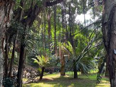 -深圳仙湖植物园-停车场