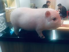 -猪角·闽南猪脚饭(文三路店)