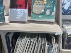 -浣熊唱片店(上海影城店)
