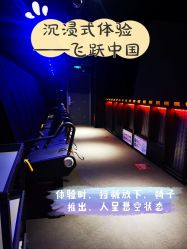 -飞览天下沉浸式飞行体验(北京旗舰店)