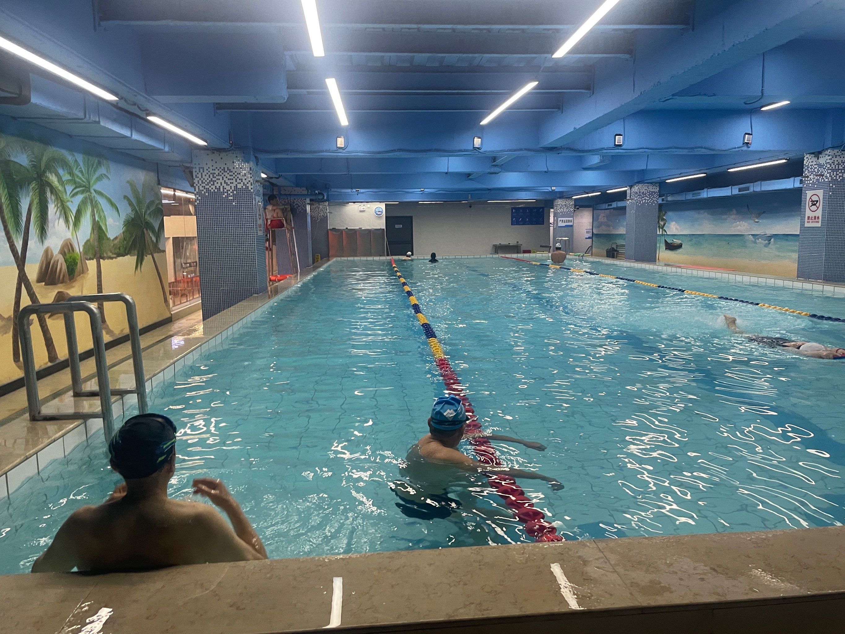 游泳 室内 「领泳游泳俱乐部(曲阳店)」