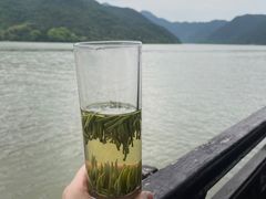-严子陵钓台(富春江小三峡)