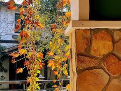 -得丘礼享谷·玉兰苑