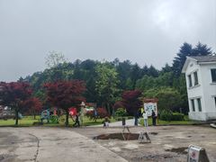 -四明山国家森林公园