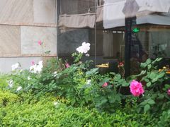 -真爱中国餐馆·年华店(朱雀大街店)