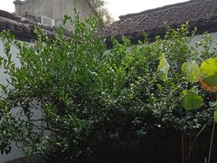 -院子餐厅·大锅菜·老杭帮(桥西直街店)