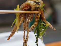 -陈添記·祖傳爽鱼皮·西关老字号(广州首店)