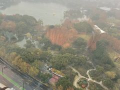 -上海新发展亚太JW万豪酒店