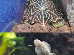 -上海海洋水族馆