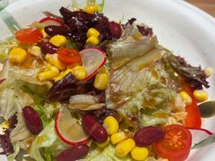 有机蔬菜沙拉-初居食屋日式料理(万象城购物中心店)