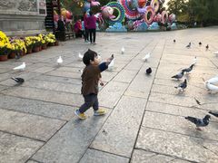-台儿庄古城