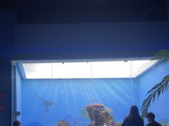 -重庆欢乐海底世界