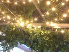 -ZING鲸鱼啤酒(葡萄院店)