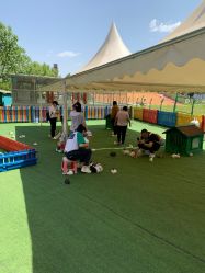 -萌宠亲子动物乐园(槐房万达店)