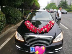 -蚂蚁婚车
