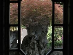 -秋霞圃