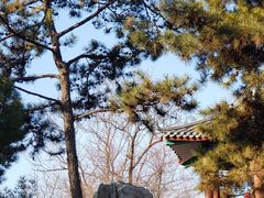 -丰台花园