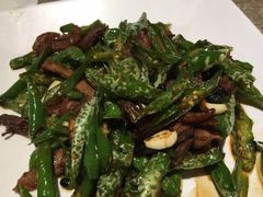 -九毛九西北菜(大东海店)