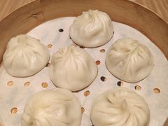 -小杨生煎(宜川路店)