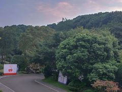 -知美术馆