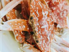 -众味海鲜大排档·活海鲜·潮汕味(南澳店)