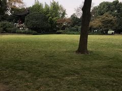 -西湖游船